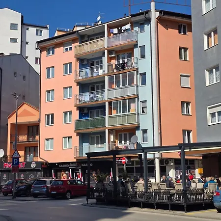 Aleksandar Premium زفورنيك