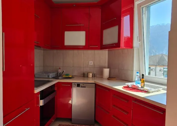 Aleksandar Premium *